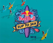 Red Bull Sup To Sea